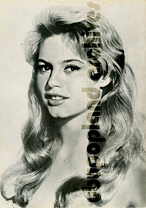 bardot n3