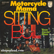 essay on sitting bull essay on sitting bull