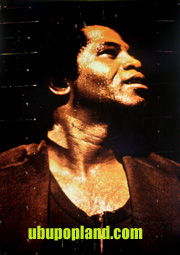 James_Brown_poster